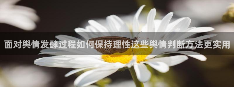 91吃瓜搜索