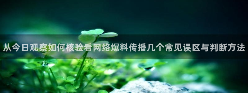 吃瓜网站