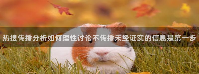 吃瓜网站大全