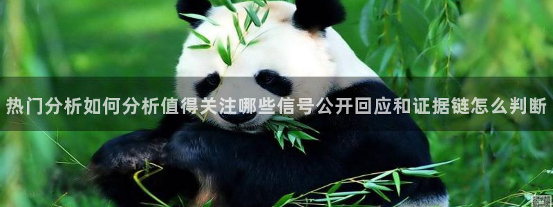 吃瓜在线观看导航