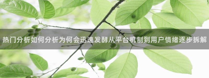 91吃瓜最新网址