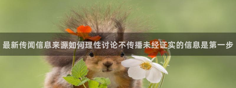 91吃瓜入口大全