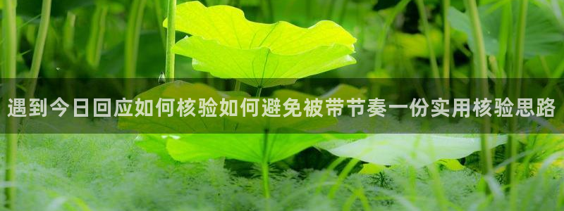 吃瓜事件动态